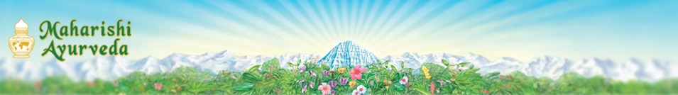 Ayurveda AG - Ayurveda Produkte Vertrieb
