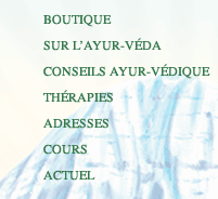 <Ayurveda Naviagtion>