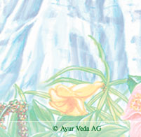 <Ayurveda Produkte Seelisberg>
